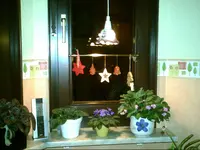 PIC00792.webp