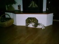 PIC00574.webp