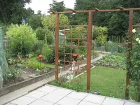 garten 017.webp