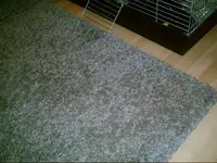 PIC00797.webp