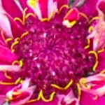 Rätsel14.webp