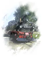 Wilder Robert.webp