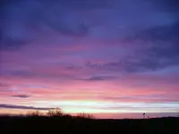 DSCF0260.webp