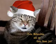 Moritz2 Kopie.webp