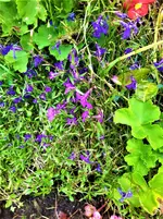 IMG_20200927_161257_1.webp