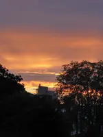 P1010816.webp