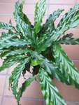 20201003_112254.jpg