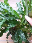 20201003_112320.jpg
