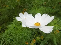 DSCI0684 (1).webp