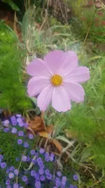 20201001_102421.webp