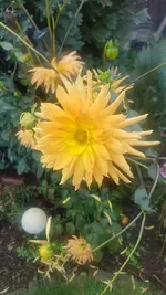 20201001_102335.webp