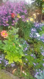 20201001_102412.webp