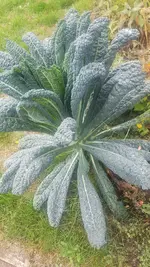 20201001_102321.jpg
