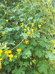 20201003_115330.jpg