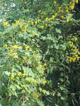 20201003_115254.jpg