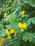 20201003_115408.jpg