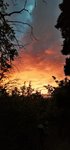 IMG_20201003_185106.jpg