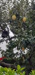 20200925_144634.jpg