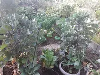 16017999598692565227332870697243.webp
