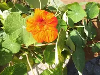 DSCI0968 (1).webp