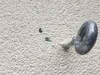 Fassadenschaden durch Specht-01.webp