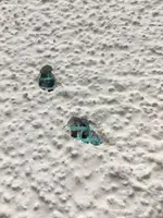 Fassadenschaden durch Specht-02.webp