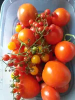 20201004_143427.webp