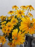 20200914_142130.jpg