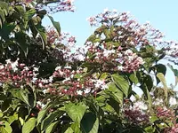 20201004_140917.jpg