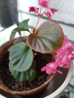 20201003_154510.jpg