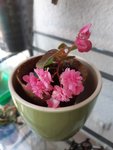 20201003_154459.jpg