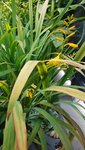 20201004_115156.jpg