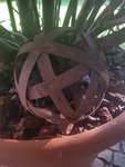 20201004_171825.jpg