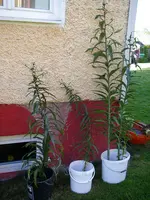 04_10_2020 (5).webp