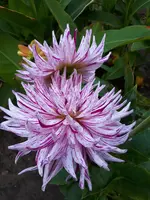 20201004_173209.jpg