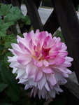 20201004_182240.jpg