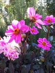 20201004_113042.jpg