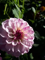 20201004_112855.jpg