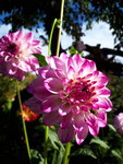 20201004_112843.jpg