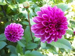20201004_113204.jpg