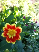 20201004_113141.webp