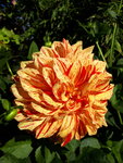 20201004_113225.jpg