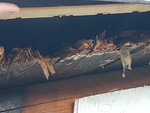 20201005_184912.jpg