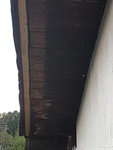 20201005_184852.jpg