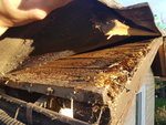 20201005_180515.jpg