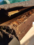 20201005_180502.jpg