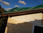 20201005_180451.jpg