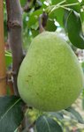 20201006_160952.jpg