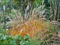 DSCF4186 (2).webp