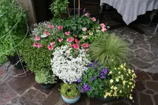 Terasse    2220.webp